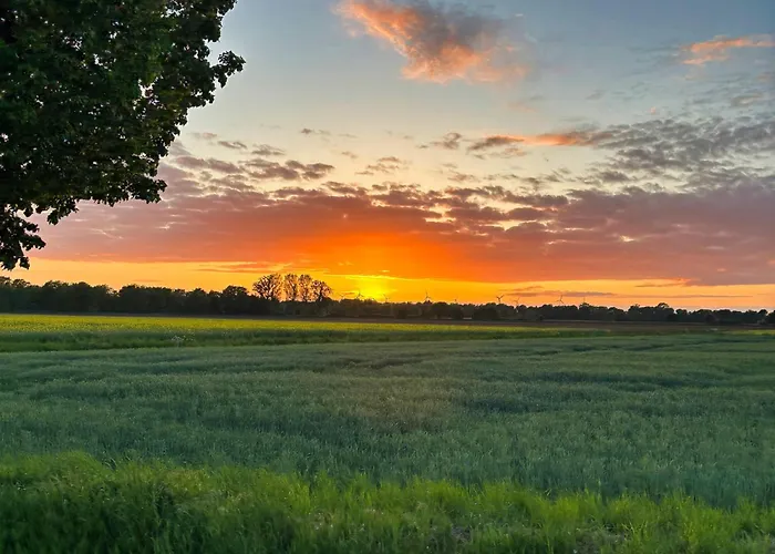 Vechtesonne - Feriehus *